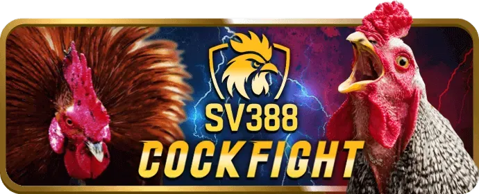 Kèo BDD (Hòa) trong đá gà vi88 app